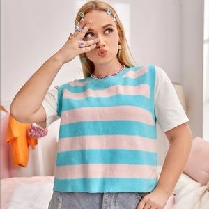 Plus strip pattern sweater vest